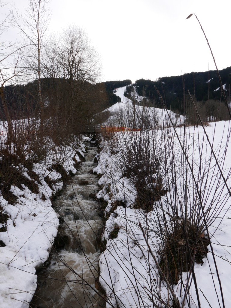 Water run-off Niederau, Austria - January 2015
